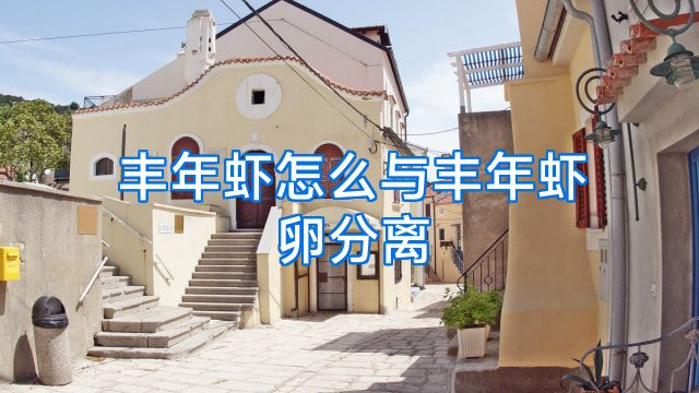 丰年虾怎么与丰年虾卵分离