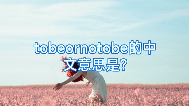 tobeornotobe的中文意思是?