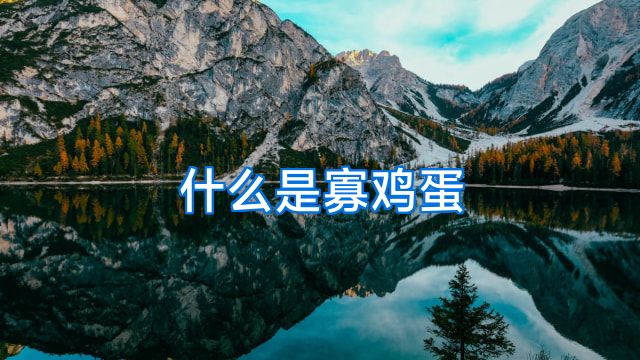 什么是寡鸡蛋