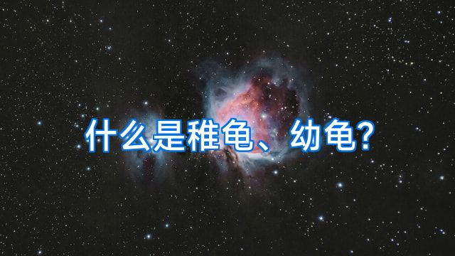 什么是稚龟、幼龟?