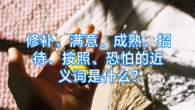 修补、满意、成熟、招待、按照、恐怕的近义词是什么?