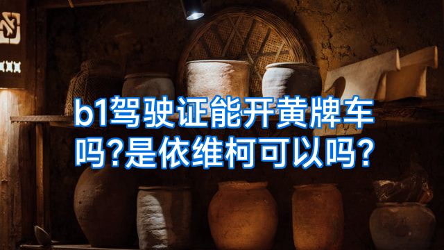 b1驾驶证能开黄牌车吗?是依维柯可以吗?