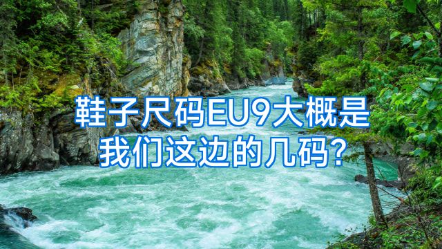鞋子尺码EU9大概是我们这边的几码?