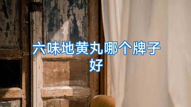 六味地黄丸哪个牌子好