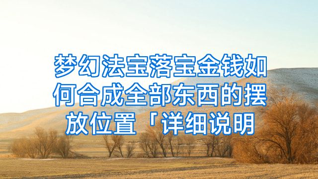 梦幻法宝落宝金钱如何合成全部东西的摆放位置「详细说明