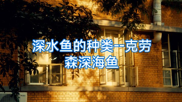 深水鱼的种类--克劳森深海鱼