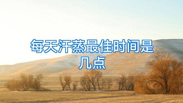 每天汗蒸最佳时间是几点