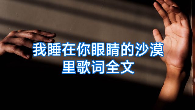 我睡在你眼睛的沙漠里歌词全文