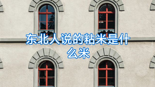 东北人说的粘米是什么米