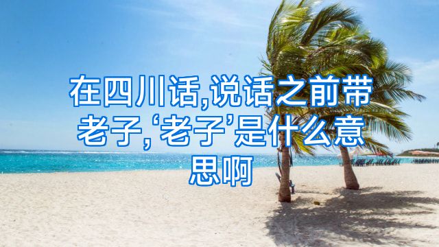 在四川话,说话之前带老子,‘老子’是什么意思啊