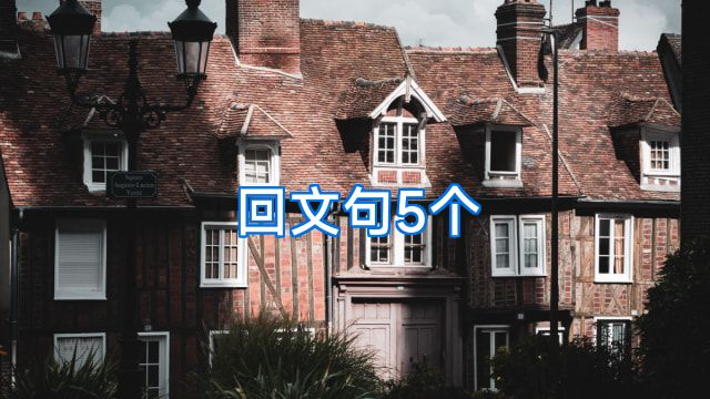 回文句5个