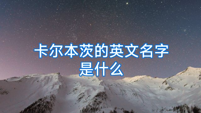 卡尔本茨的英文名字是什么