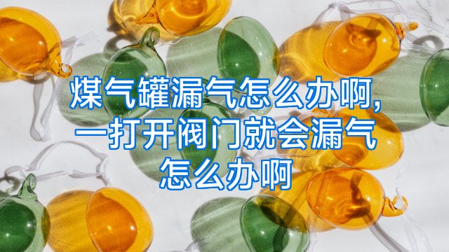 煤气罐漏气怎么办啊,一打开阀门就会漏气怎么办啊