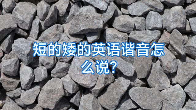 短的矮的英语谐音怎么说?