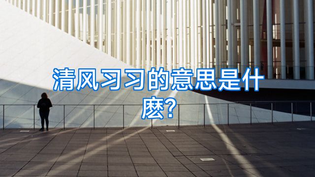 清风习习的意思是什麽?