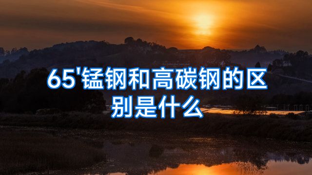 65'锰钢和高碳钢的区别是什么