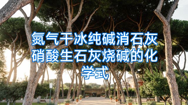氮气干冰纯碱消石灰硝酸生石灰烧碱的化学式