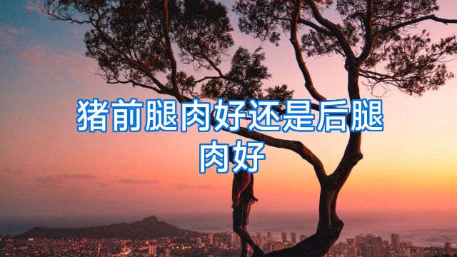 猪前腿肉好还是后腿肉好