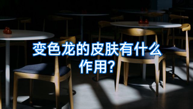 变色龙的皮肤有什么作用?