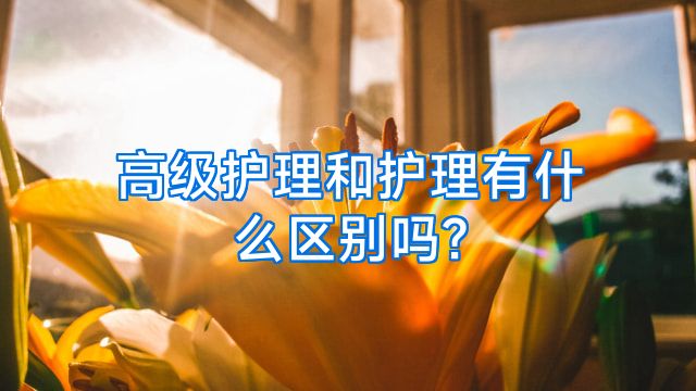 高级护理和护理有什么区别吗?