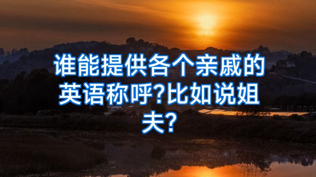 谁能提供各个亲戚的英语称呼?比如说姐夫?