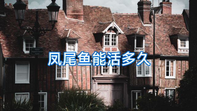 凤尾鱼能活多久