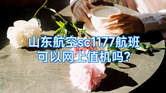 山东航空sc1177航班可以网上值机吗?