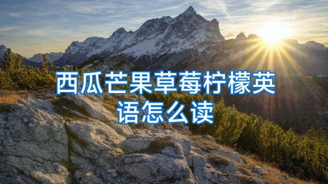 西瓜芒果草莓柠檬英语怎么读
