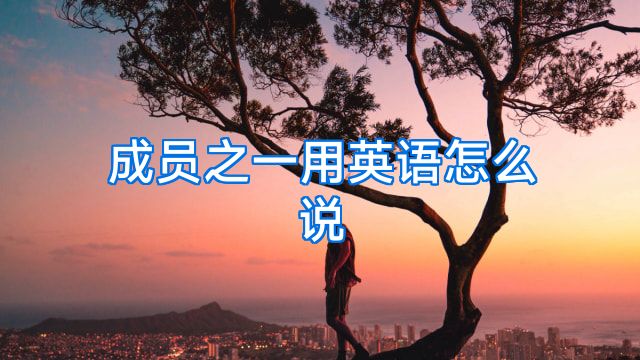 成员之一用英语怎么说