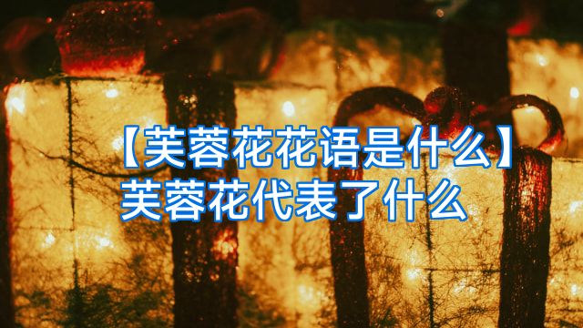 【芙蓉花花语是什么】芙蓉花代表了什么