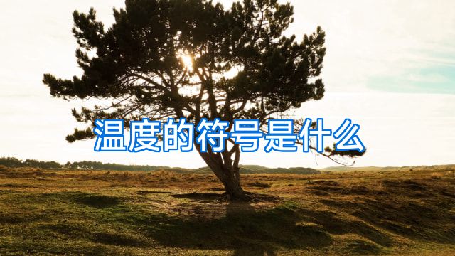 温度的符号是什么