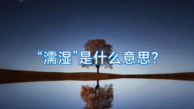 “濡湿”是什么意思?
