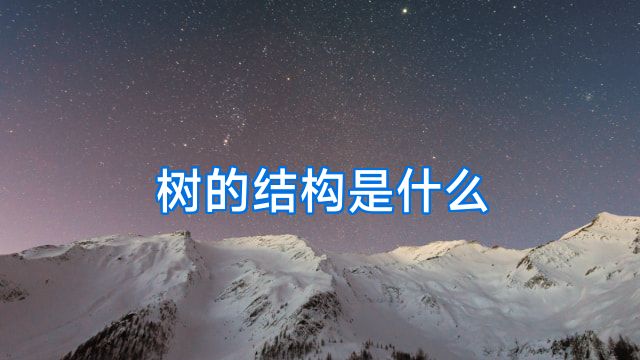 树的结构是什么