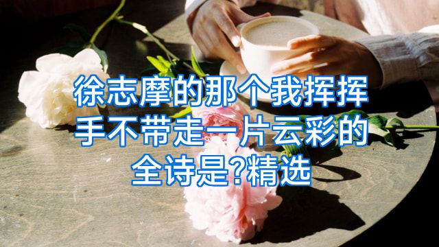 徐志摩的那个我挥挥手不带走一片云彩的全诗是?精选