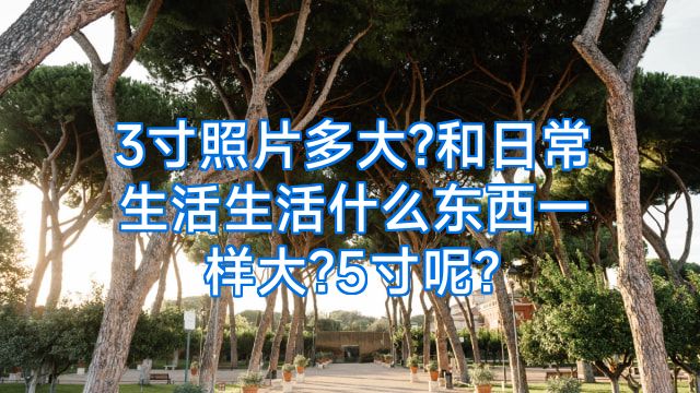 3寸照片多大?和日常生活生活什么东西一样大?5寸呢?