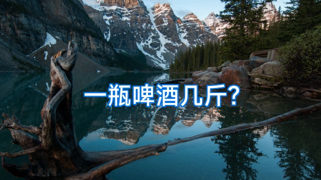 一瓶啤酒几斤?