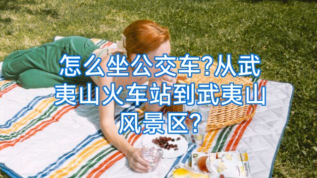 怎么坐公交车?从武夷山火车站到武夷山风景区?