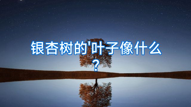 银杏树的'叶子像什么?