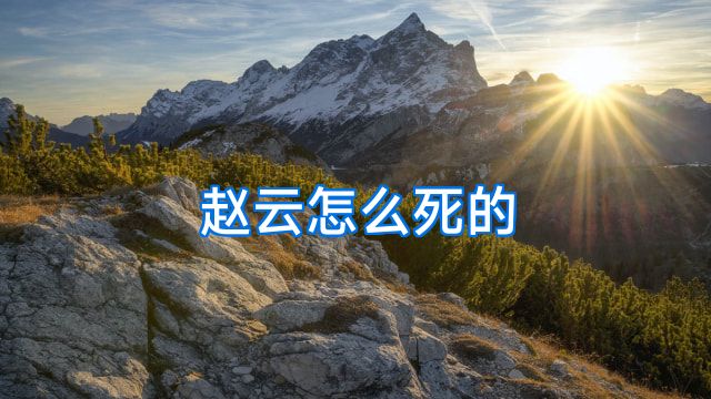 赵云怎么死的
