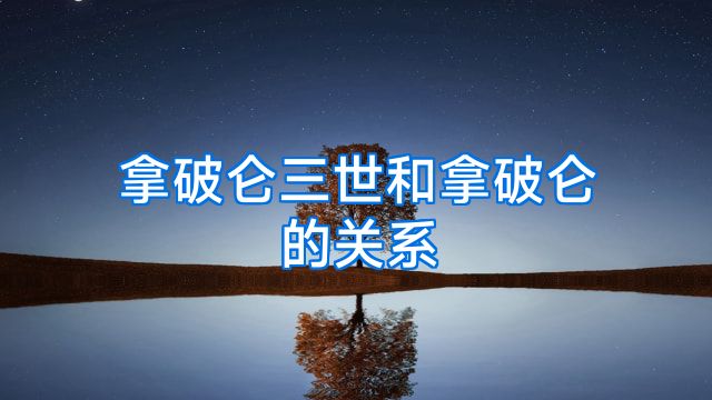 拿破仑三世和拿破仑的关系