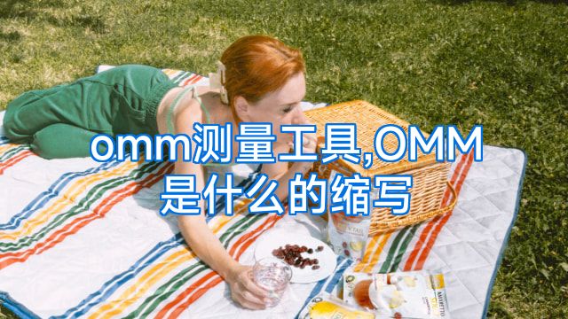 omm测量工具,OMM是什么的缩写