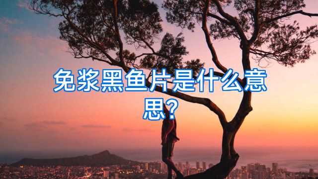 免浆黑鱼片是什么意思?