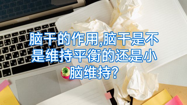 脑干的作用,脑干是不是维持平衡的还是小脑维持?