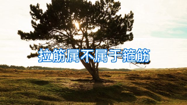 拉筋属不属于箍筋