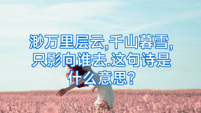 渺万里层云,千山暮雪,只影向谁去.这句诗是什么意思?