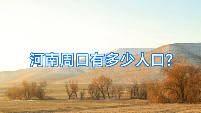 河南周口有多少人口?