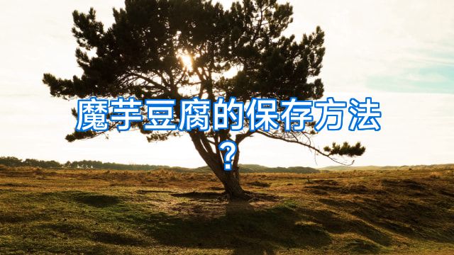 魔芋豆腐的保存方法?
