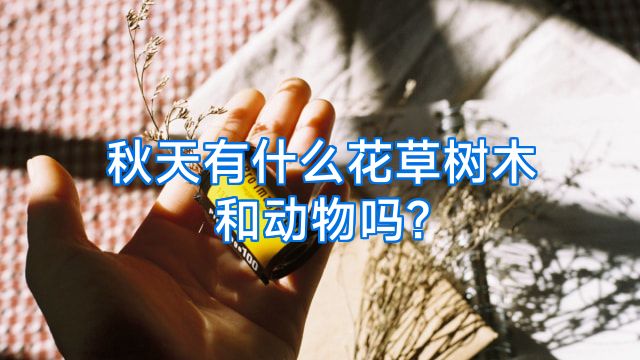 秋天有什么花草树木和动物吗?
