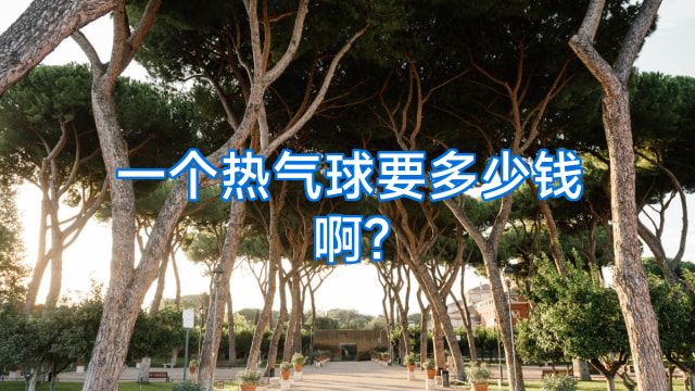 一个热气球要多少钱啊?