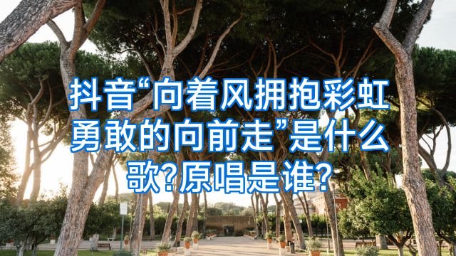 抖音“向着风拥抱彩虹勇敢的向前走”是什么歌?原唱是谁?